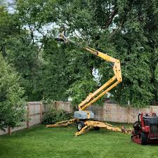 Best Emergency Tree Removal  in Delavan, WI