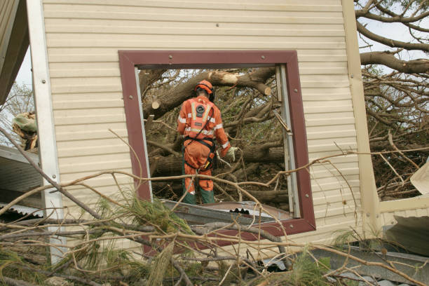 Best Tree Removal  in Delavan, WI